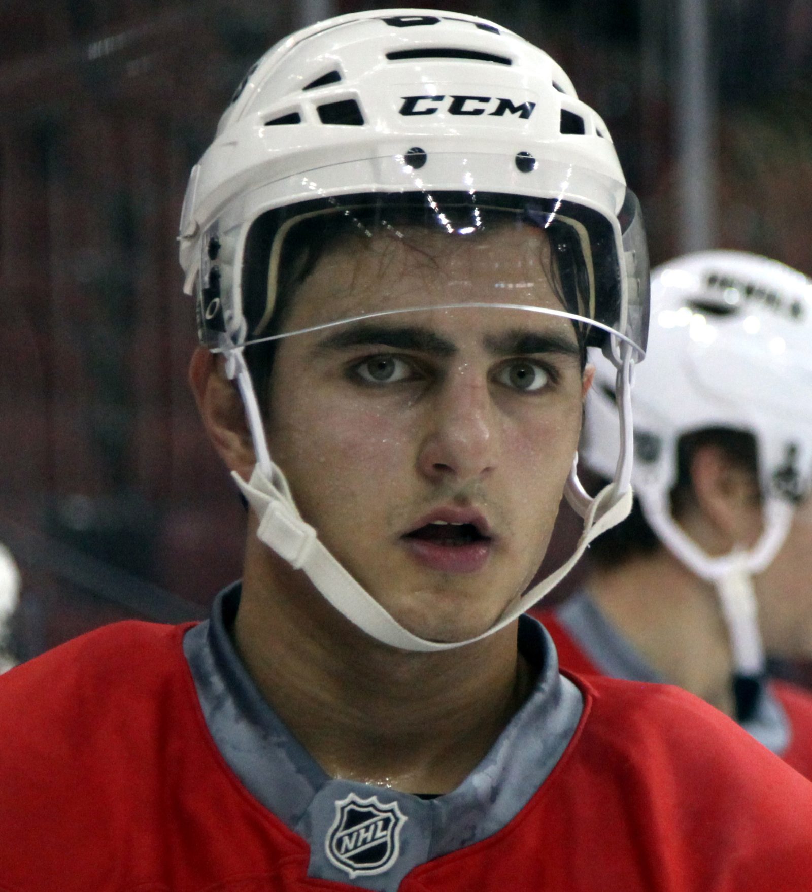 Joseph Blandisi avec les Devils du New Jersey