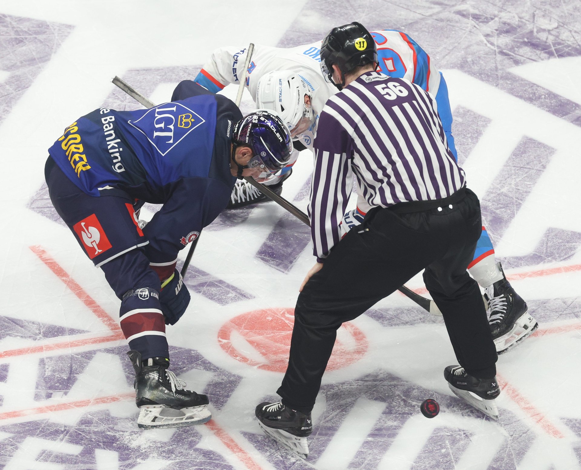 Un joueur des ZSC Lions en action en Ligue des champions contre les Eisbären Berlin